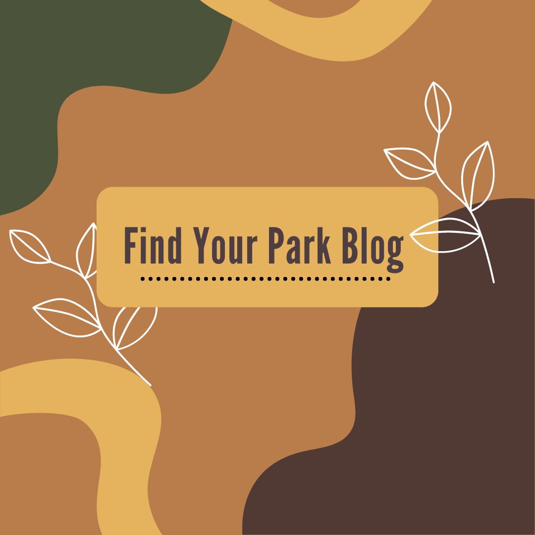 find_your_park's tweet photo. Want to learn more about the National Parks? Check out our blog! We have tons of great posts 

#blog #hiking #NationalPark #findyourpark #camping https://t.co/WFmB0Nvm6l