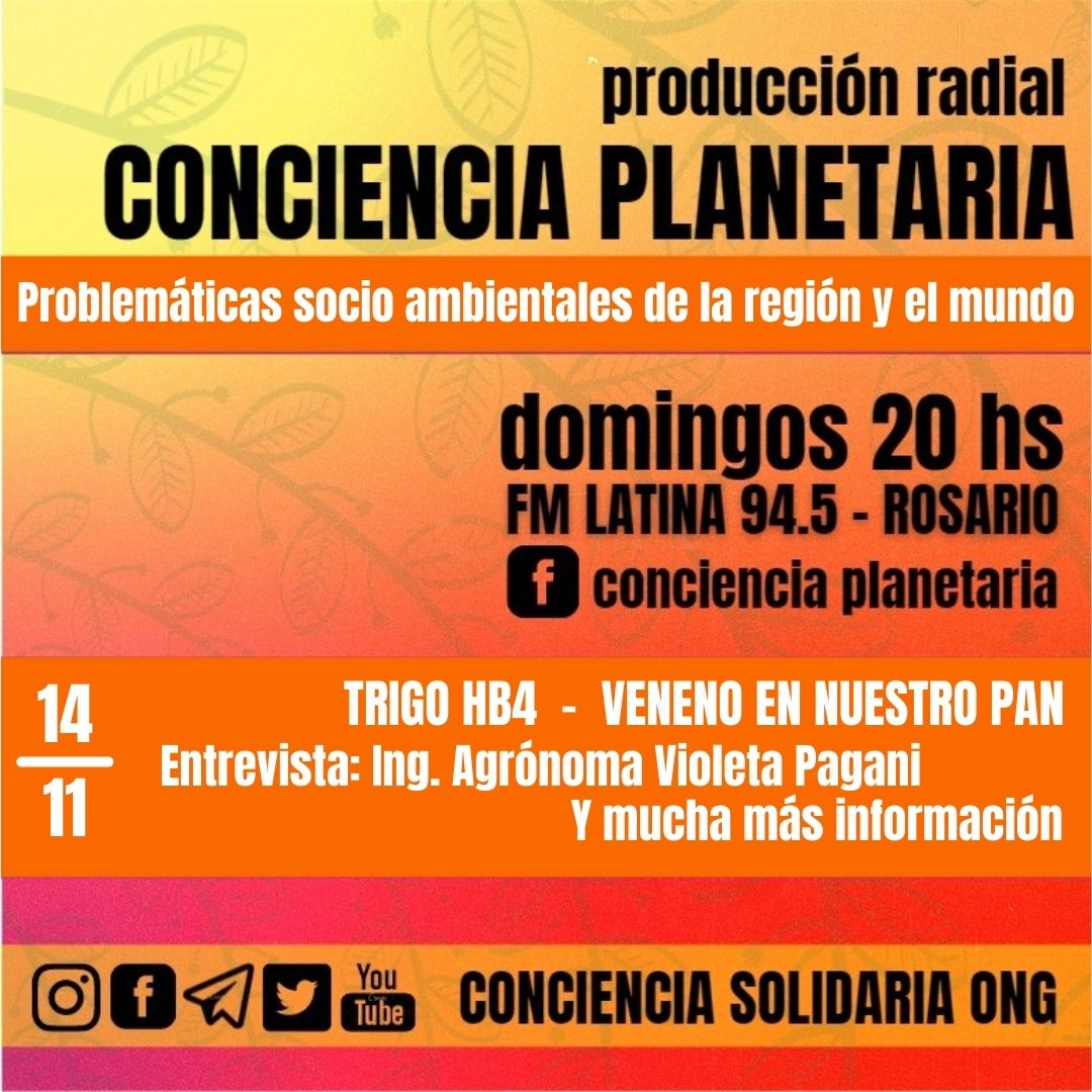 CoPlanetaria's tweet photo. 🎙️¡#ConcienciaPlanetaria!
 14-11-2021  20hs

💻https://t.co/OU0Yf7dTWi

*Entrevista: Ing. Agrónoma Violeta Pagani, integrante de la #ReddeTécnicosenAgroecologíadelLitoral Tema: #TrigoHB4

#ConcienciaSolidariaONG
santafe@concienciasolidaria.org.ar 
https://t.co/QnxhtoVHPo https://t.co/gncAy0jRLX