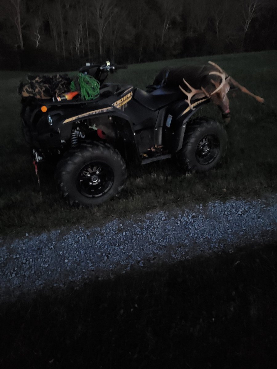 ELulek's tweet photo. Got it done today with a nice 9pt & was able to let that young 10pt walk.. just hope others let him too..
@YamahaOutdoors @WTD_tv #TaurusArms https://t.co/4Ll2Go98dq