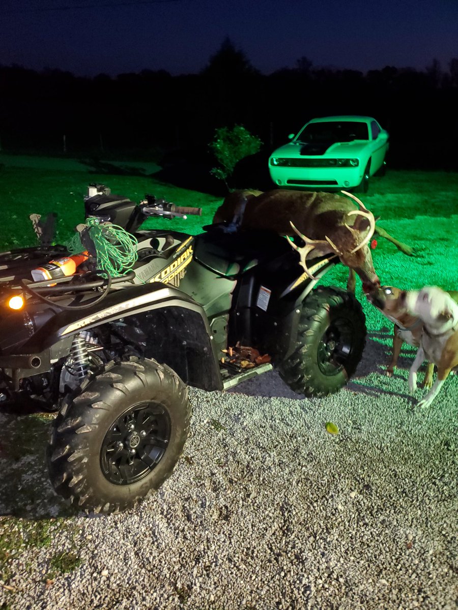 ELulek's tweet photo. Got it done today with a nice 9pt & was able to let that young 10pt walk.. just hope others let him too..
@YamahaOutdoors @WTD_tv #TaurusArms https://t.co/4Ll2Go98dq