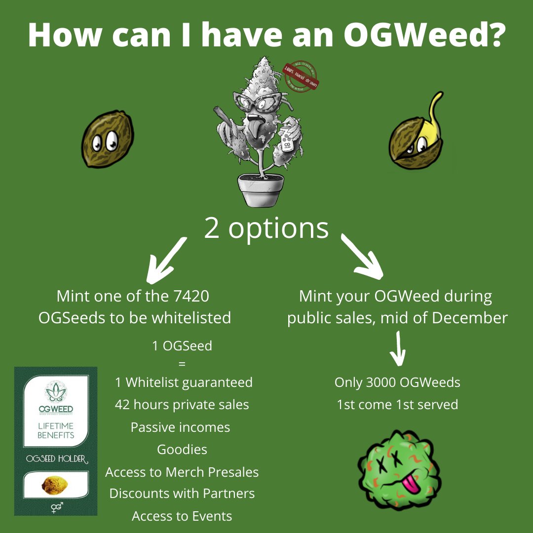 OGWeedNFT's tweet photo. 💡How can I be sure to have an OGWeed?🪴

By collecting an OGSeed🌱 

The OGSeed guarantees you the WHITELIST for the private sales on mid December and much more...

You can mint your OGSeed on: https://t.co/oNA5CtfZYP

⚠️Only 1420 at 0.5 SOL⚠️

#whitelist #NFTwhitelist #OGSeed https://t.co/il0wcUTXBZ