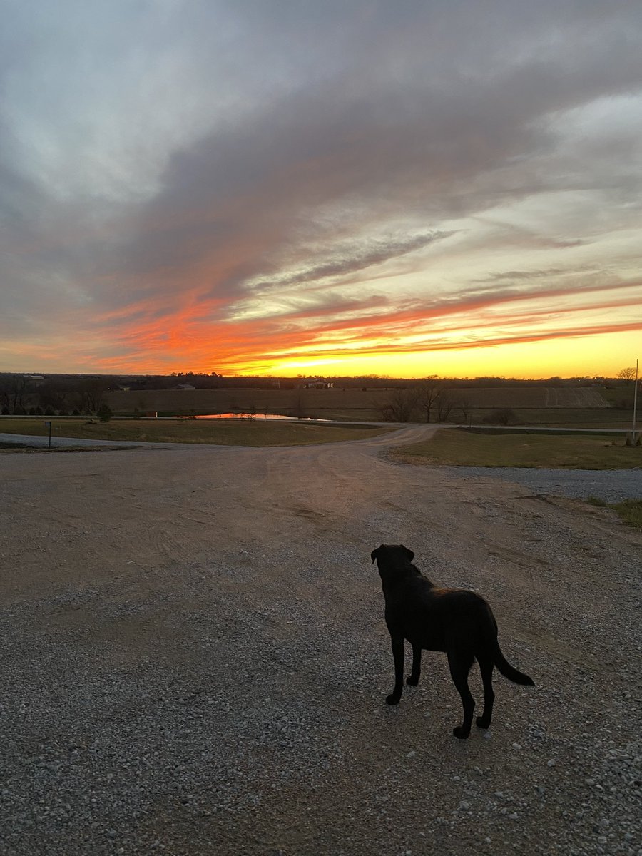 m_lien89's tweet photo. Nebraska sunsets sure are sights to admire. #nebraska #sunsets https://t.co/6yG0ZPBg0K