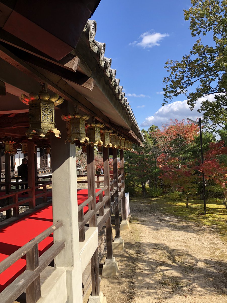 korim59628677's tweet photo. 粟生光明寺
少し早いけど少しづつ色変わりしています。人が少ないのでのんびり散策 https://t.co/YobNvD5x5b