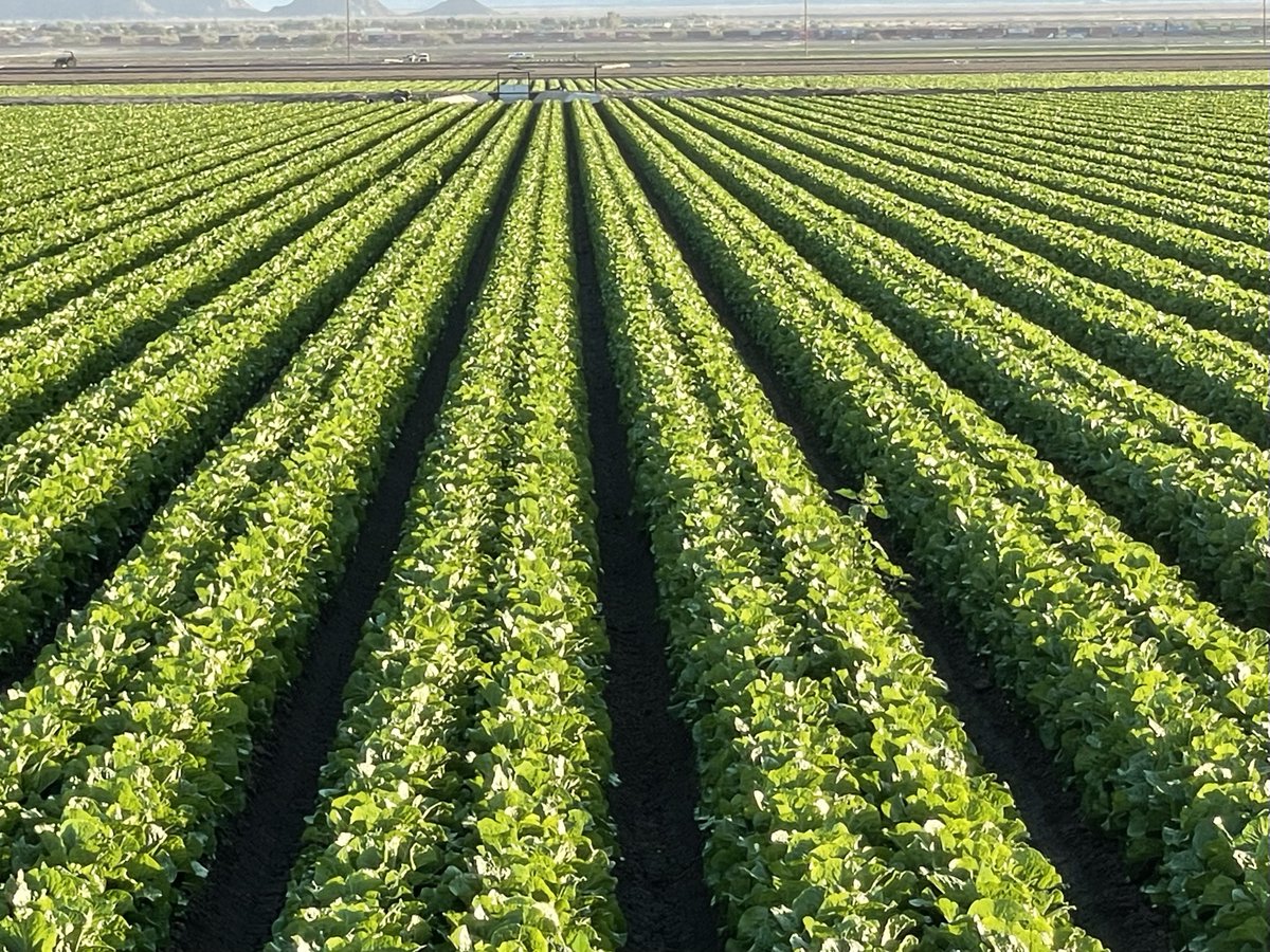 John Boelts tweet media