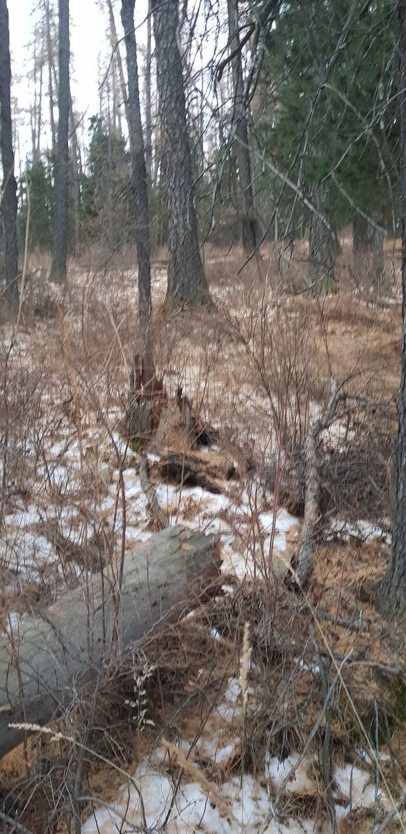 Өглөөний мэндийг уулнаас🍂🍂🍁🍁🌿🌿🍂🍁🍂