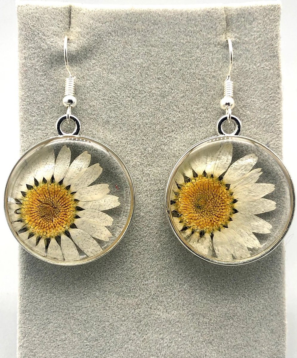 White daisies ✨ today only get 15% off with code chilly