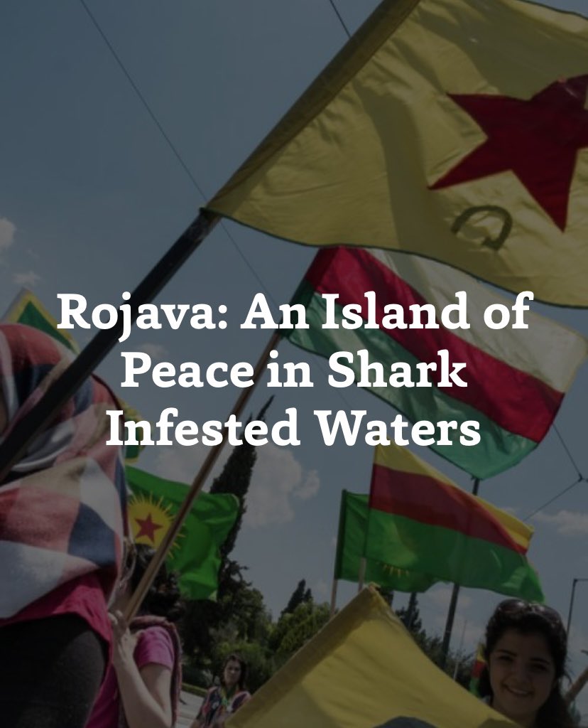 AtlasPardee's tweet photo. Our second published paper of this week’s Back2School initiative is titled “Rojava: An Island of Peace in Shark Infested Waters” By Farris Al-Banaa

#ThePardeeAtlas #Academicjournal #BostonUniversity #BU #pardeepride #publishedauthor #FarrisAlBanaa https://t.co/CQHamCM60N