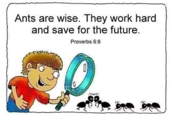 KaiserHealthPH's tweet photo. "Become WISE like ants. Follow their habits and attitudes."

1)  Be a WISE servANT
 - Have an Attitude of humility and hardwork.
  
2) Dont live a life of instANT &amp; fANTasies.
 - Instead ANTicipate the future in life &amp; prepare or save for it.

3) Dont live an extravagANT life. https://t.co/kHbV1KR6ws