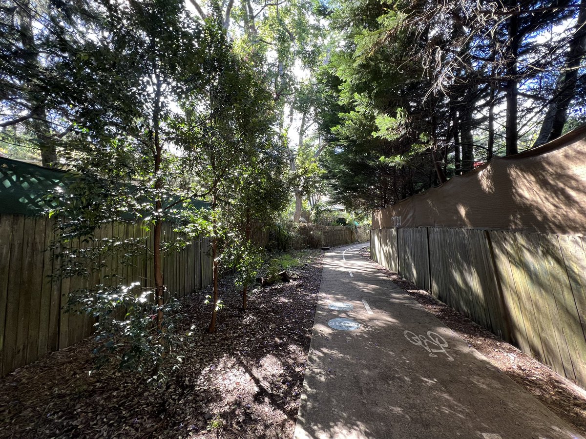 ross1ross's tweet image. Great colour on a Sunday morning run #Jacaranda #sydneyspring