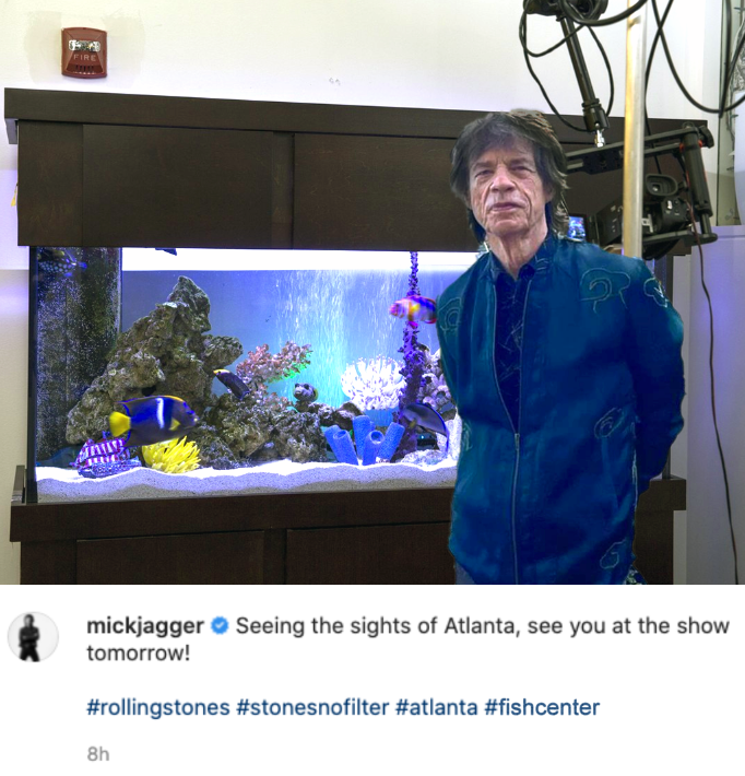 FishCenter SFW tweet media