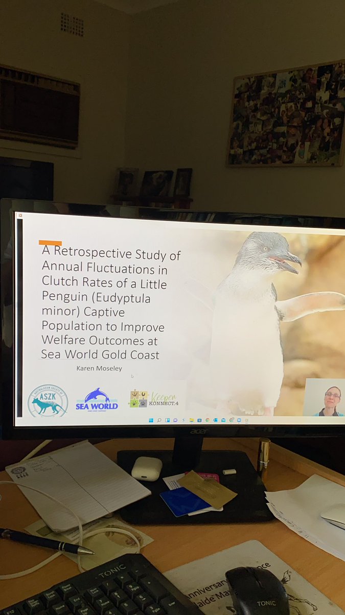 ASZK18's tweet photo. Day 3, includes cute little penguins from SeaWorld in the Gold Coast #Zookeeper #aszk https://t.co/o7QcA33LfQ