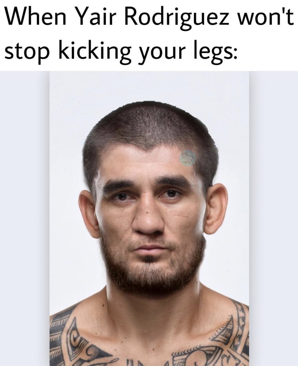 Home of Fight tweet media