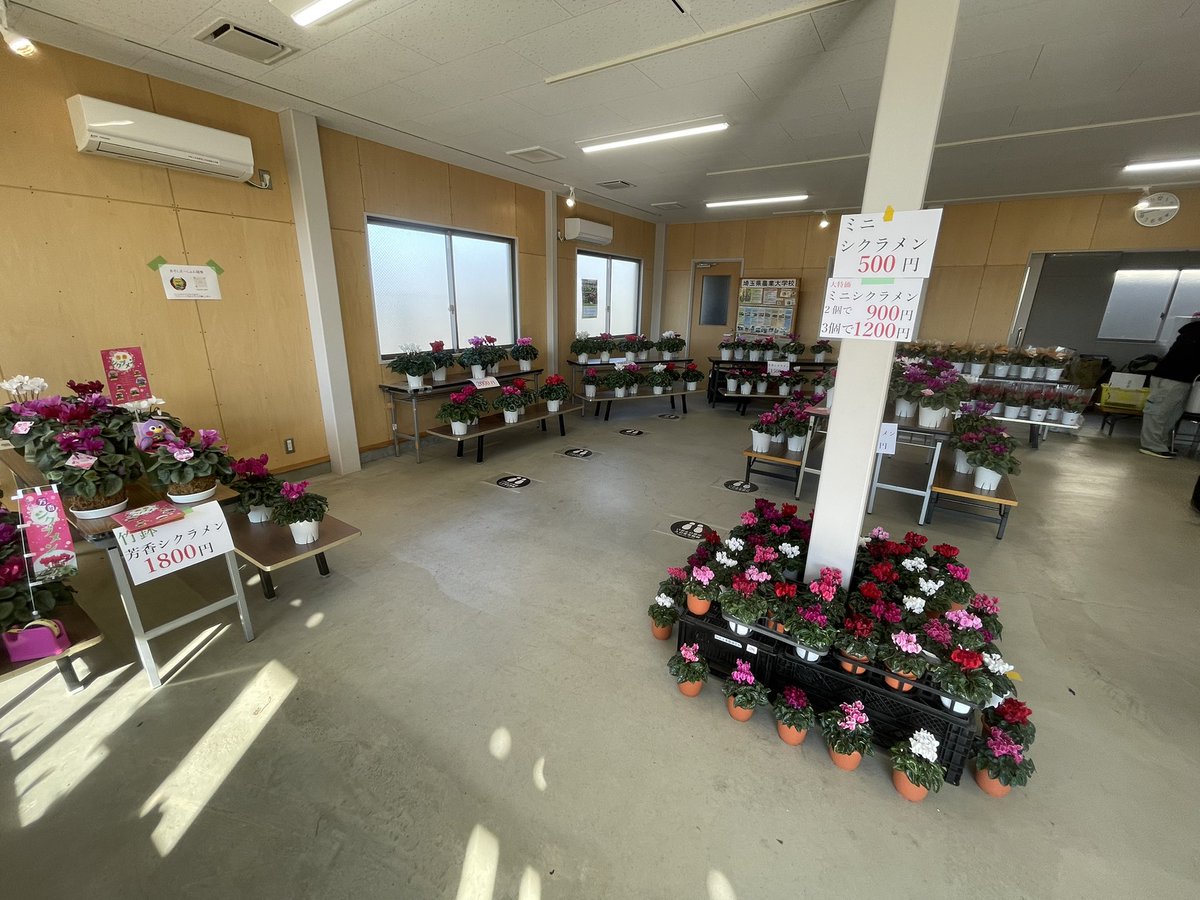 asoshi2022's tweet photo. 本日10時から開始します！
#熊谷市 #農業大学校 #埼玉県民の日 https://t.co/ZoRguNHjYB