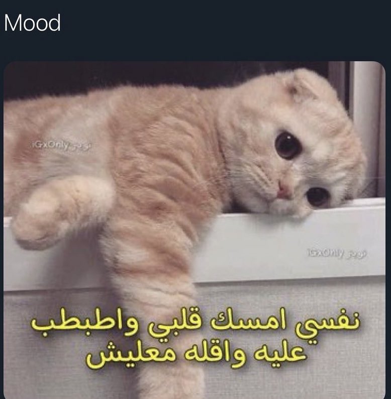 af_afnan66's tweet photo. https://t.co/9cgcmHCBoR