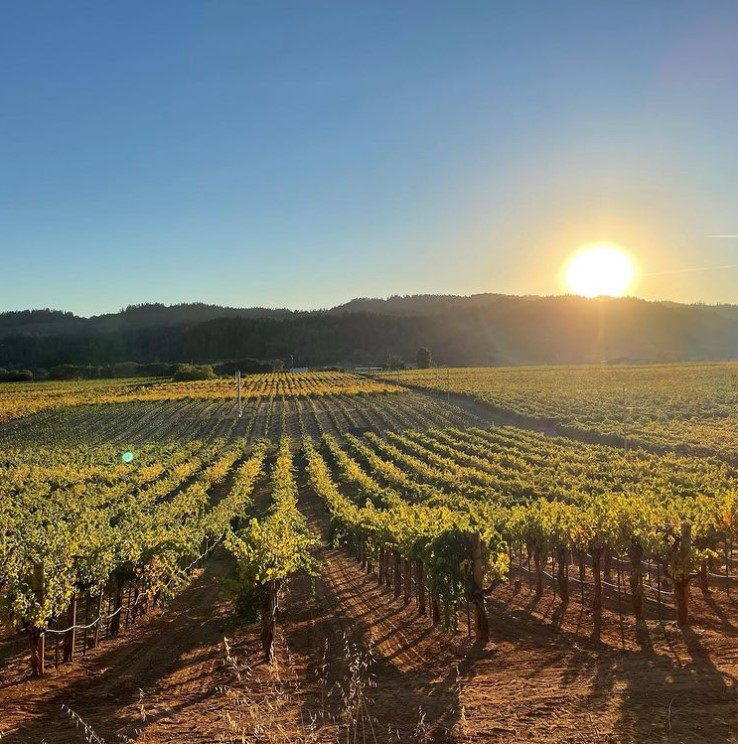 Sunset over Dry Creek… #zenofzin