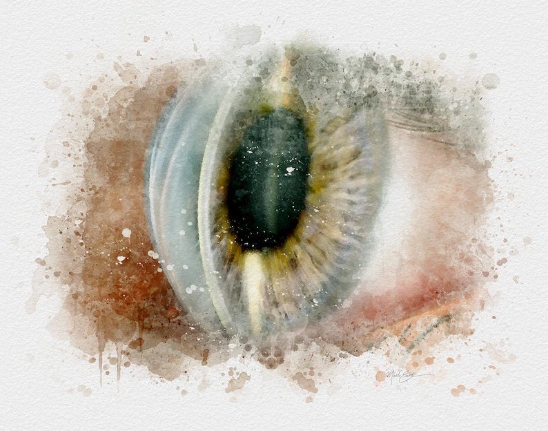 MedicalArtist's tweet photo. Slit lamp eye exam watercolor style fine art print gift for ophthalmologists.
Link in bio.
#AAO2021 #aao https://t.co/MBsdiqtsBJ