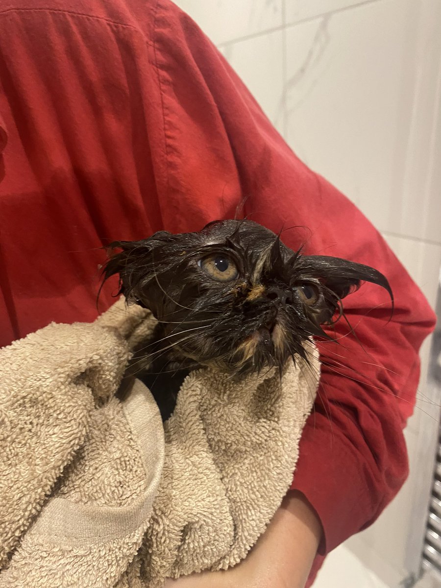 Some day I feel like this 
And some day like that