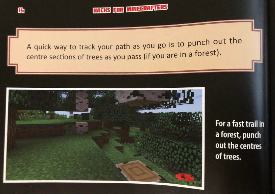 PhoenixSC / Hamish tweet media