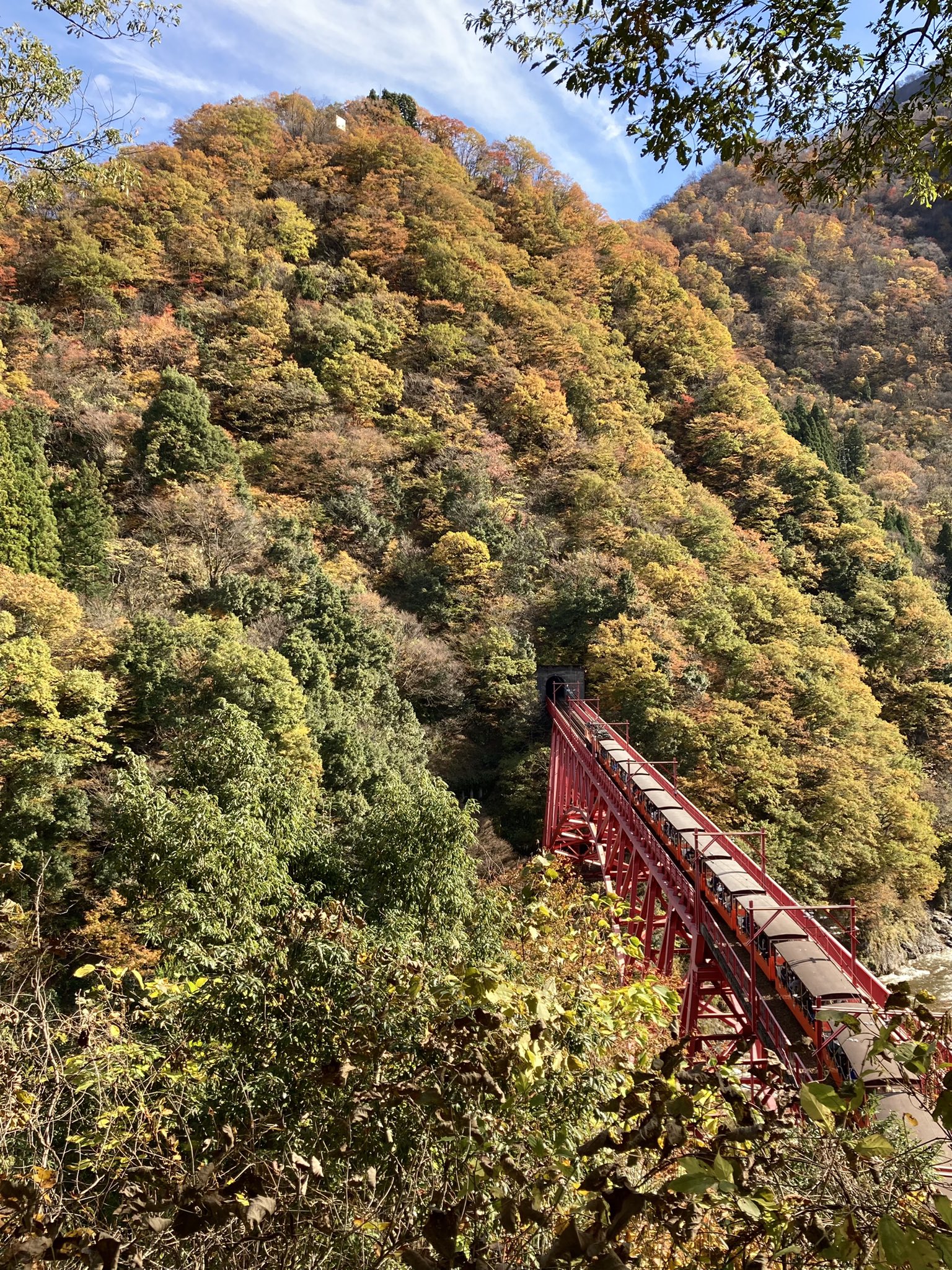 黒部峡谷鉄道 秋晴れの黒部峡谷 鮮やかな紅葉風景を 楽しんで来てくださ い 黒部峡谷トロッコ電車 トロッコ電車 黒部峡谷 紅葉狩り 紅葉 紅葉 秋晴れ 電車 電車旅 鉄道風景 観光地 観光スポット 観光 T Co 42y0opvplr