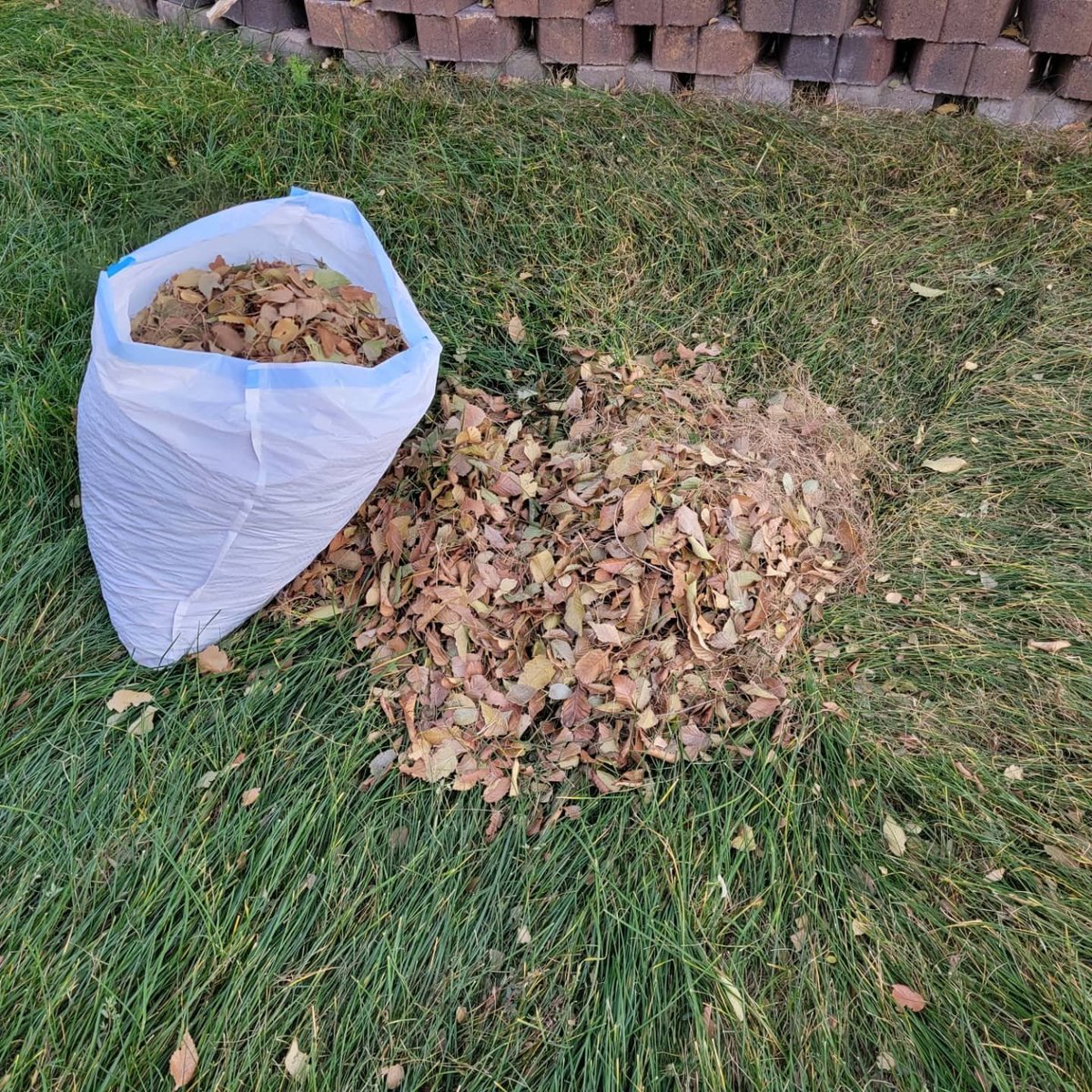 daybreakwarrior's tweet photo. Na'ádé'éstsih (#IStayActive)!
I couldn't stay indoors. I went for a walk at #BergPark & did some yardwork outside! Enjoyed the #FallWeather! Na'ádí'íltsih (#StayActive)!
#HappyFall y'all! 🍁🍂
#JustMoveIt https://t.co/2ETceWQQPA