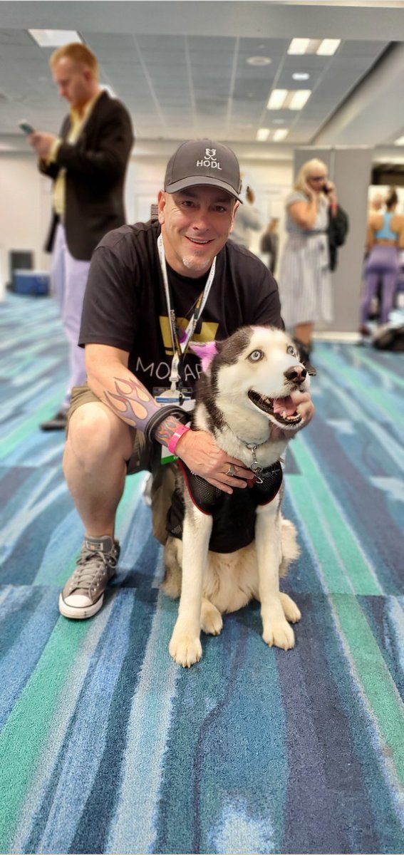 RiceTVx's tweet photo. I met this famous cool ass dog #SwaggyWolfdog, who has over 1.1 million followers on #Instagram, at @MiamiCryptoExp! Showing some #MonarchWallet love! @MonarchWallet https://t.co/aoCwQ7gNHu