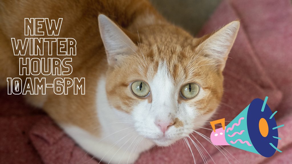 austinanimals's tweet photo. Pokey has an announcement! AAC has new winter adoption hours, that start now! We are open 10am-6pm, daily. And we certainly can use adopters right now, we are at max capacity with large dog space‼️‼️
#adoptfromAAC #adoptashelterdog #austinanimals #atx #weneedadopters #austin https://t.co/ay2BN8dqbn