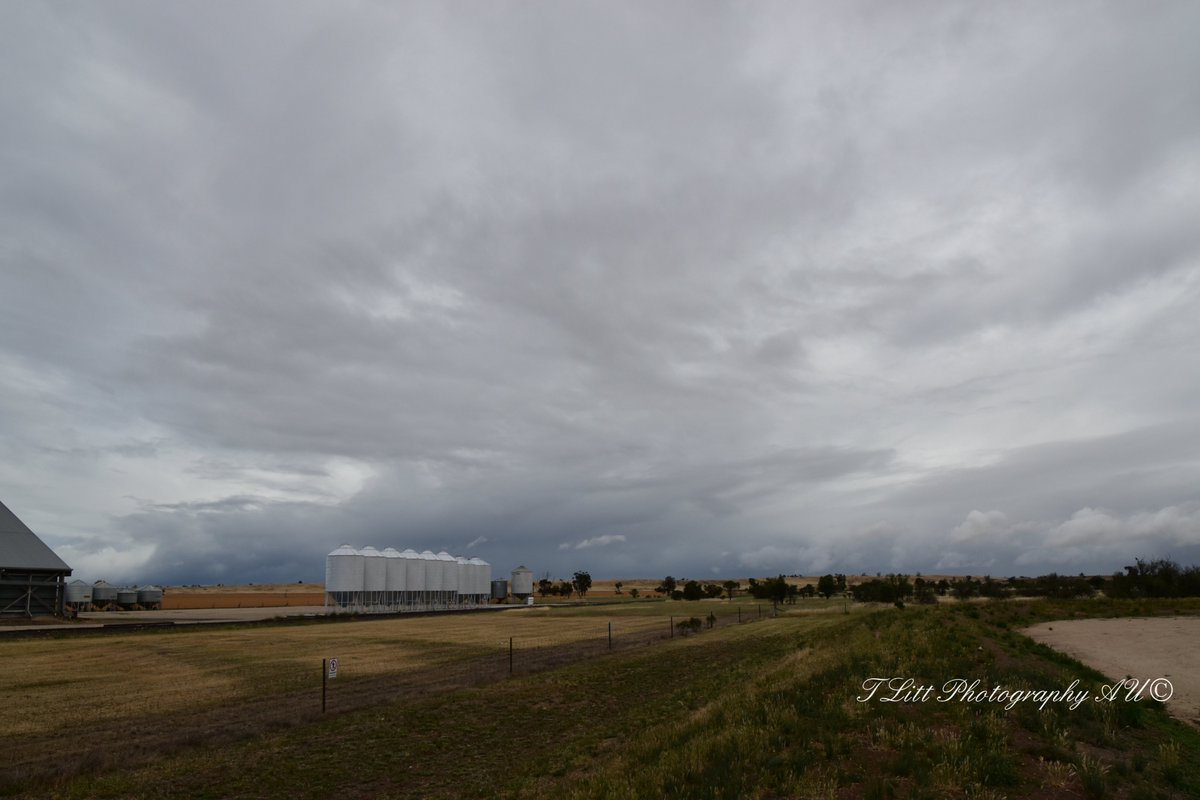 TonyL_Tchum's tweet photo. Storm clouds clearing over Albacutya Vic this morning.
#malleevictoria #mallelife #albacutyavic #malleeweatherwatch #abcweather #abcrural
@MalleeWeather 
@VicStormChasers https://t.co/DtD2jPDAHS