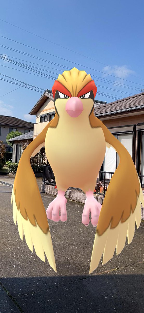 ポケモンgo ピジョットの入手方法 能力 技まとめ 攻略大百科