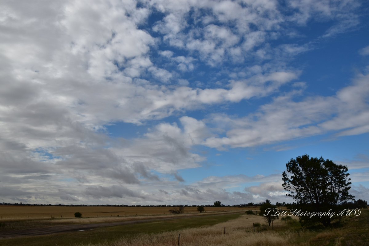 TonyL_Tchum's tweet photo. Storm clouds clearing over Albacutya Vic this morning.
#malleevictoria #mallelife #albacutyavic #malleeweatherwatch #abcweather #abcrural
@MalleeWeather 
@VicStormChasers https://t.co/DtD2jPDAHS