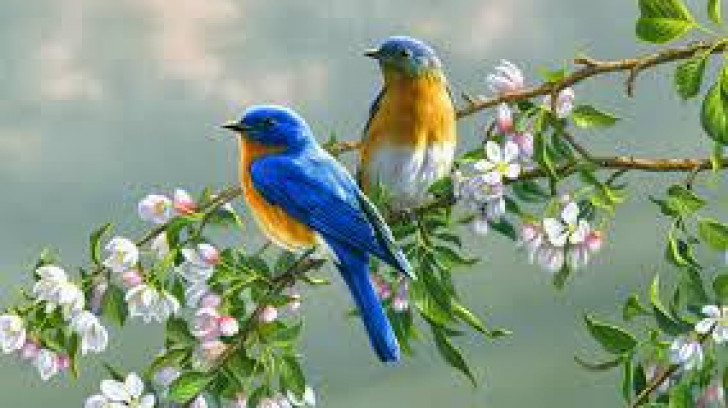 LinhLe1564's tweet photo. yoooo looo https://t.co/O6FfadpWxR