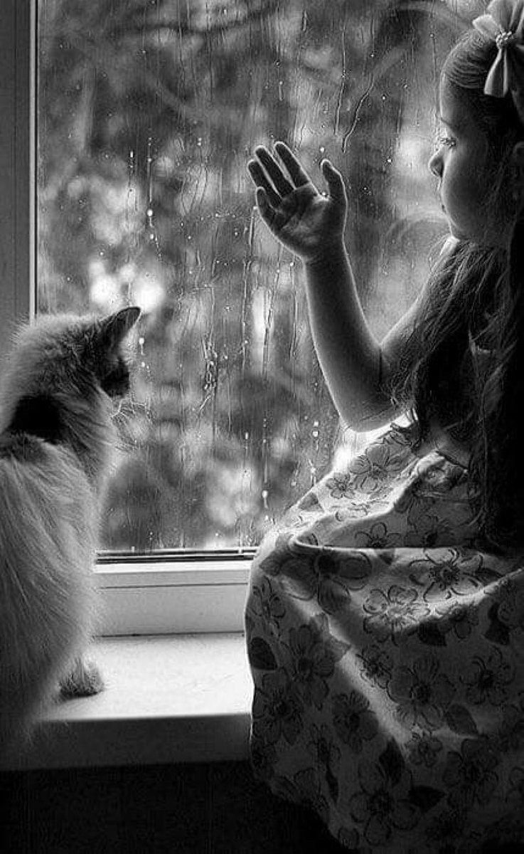 "الكلام أثناء البكاء 

أصدق كلام ينطق به الإنسان."♥️