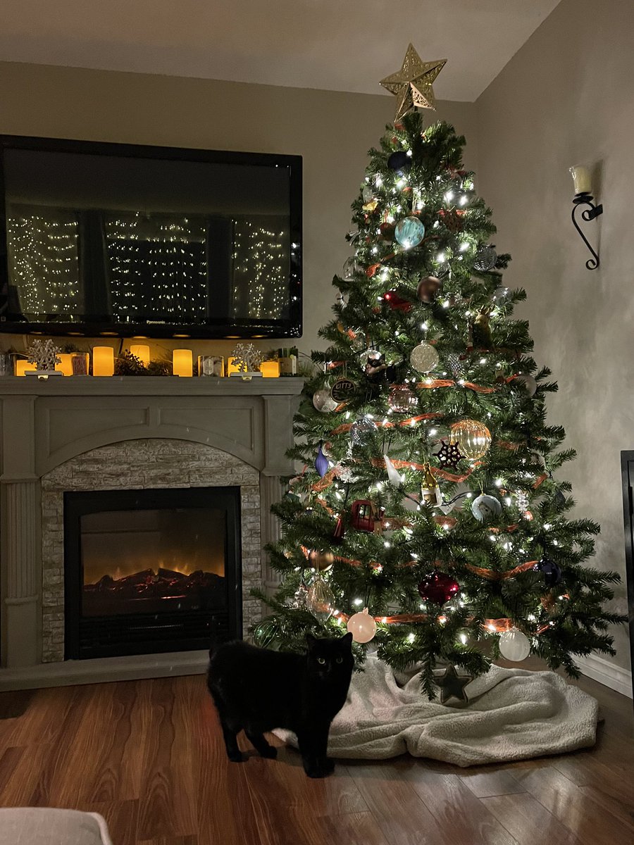 svferguson's tweet photo. I know it’s still a little early but this is the first time I’ve ever had my own Christmas tree to decorate and it’s bringing me joy https://t.co/VFoW7Qt4dP
