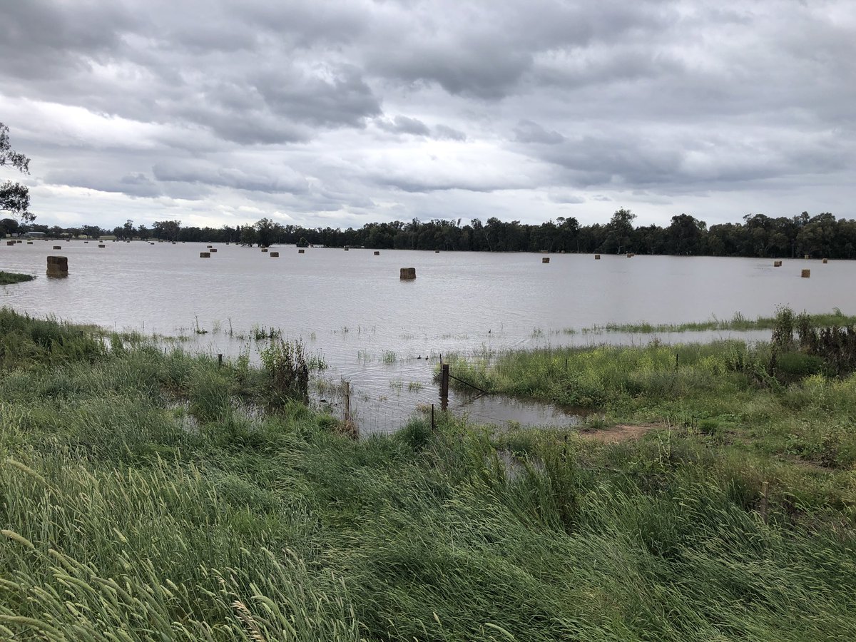 Tim Wright tweet media