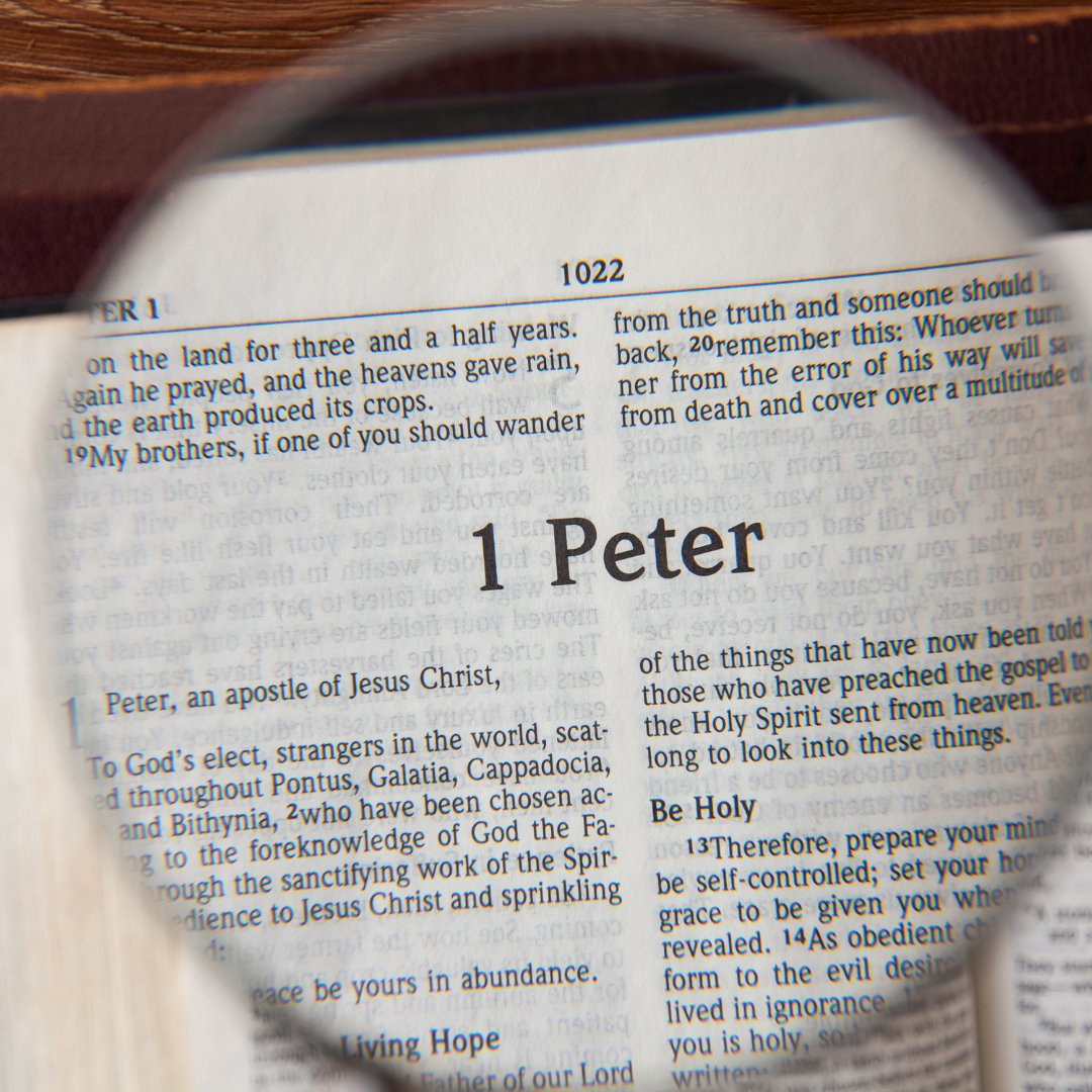 crosspointe_ar's tweet photo. Join us at 10:30AM today as we continue our study on 1 Peter 2.

Unable to join us in person, catch us on YouTube: 
https://t.co/z48BO39UjZ

#brokenpeoplejesusishealing #crosspointechurchsaline #1peter2 https://t.co/YisOZDGlST