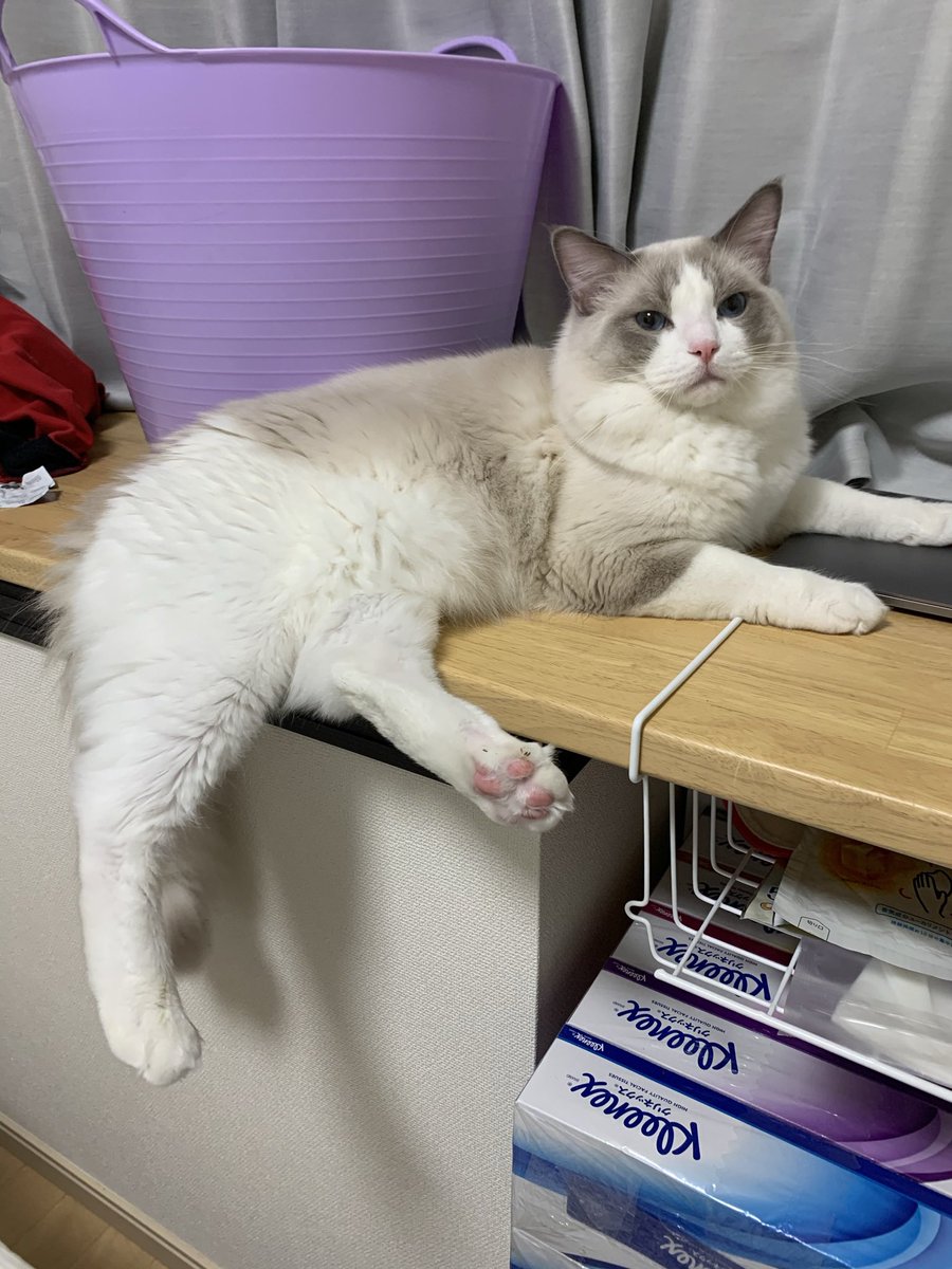 生後８ヶ月 hashtag on Twitter