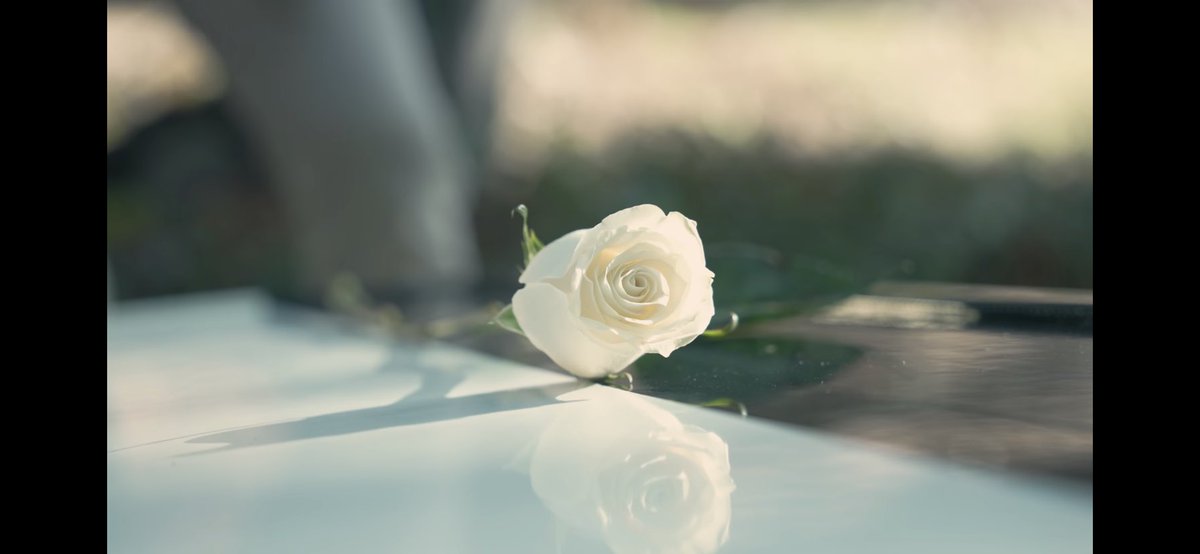 _heleniplier_'s tweet image. POV: I watched both videos and the pic amy posted and CURRENTLY CANT STOP SOBBING RN 😭🖤🤍
#UnusAnnus #MementoMori #Markiplier