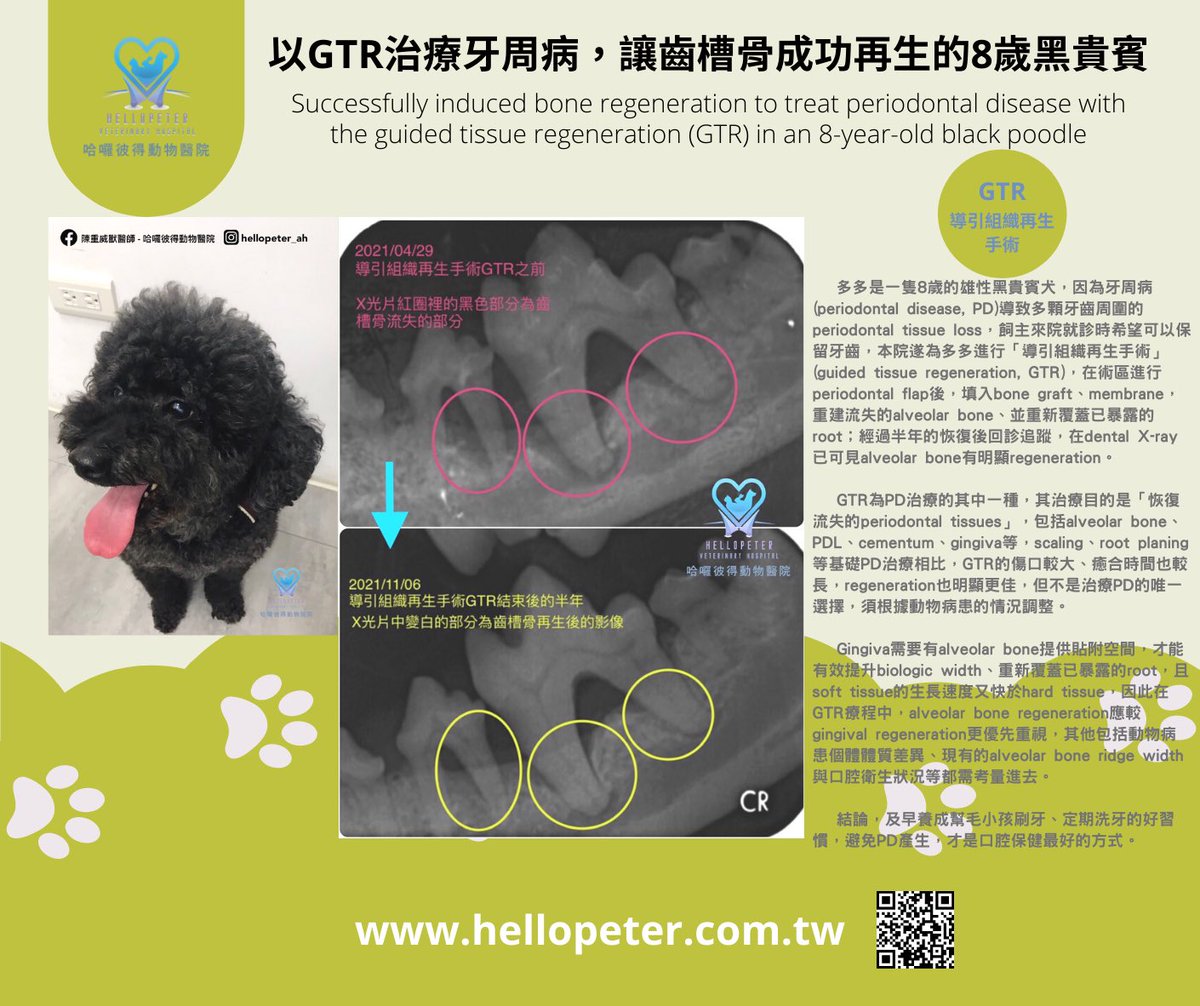 動物牙科about Uqbfk