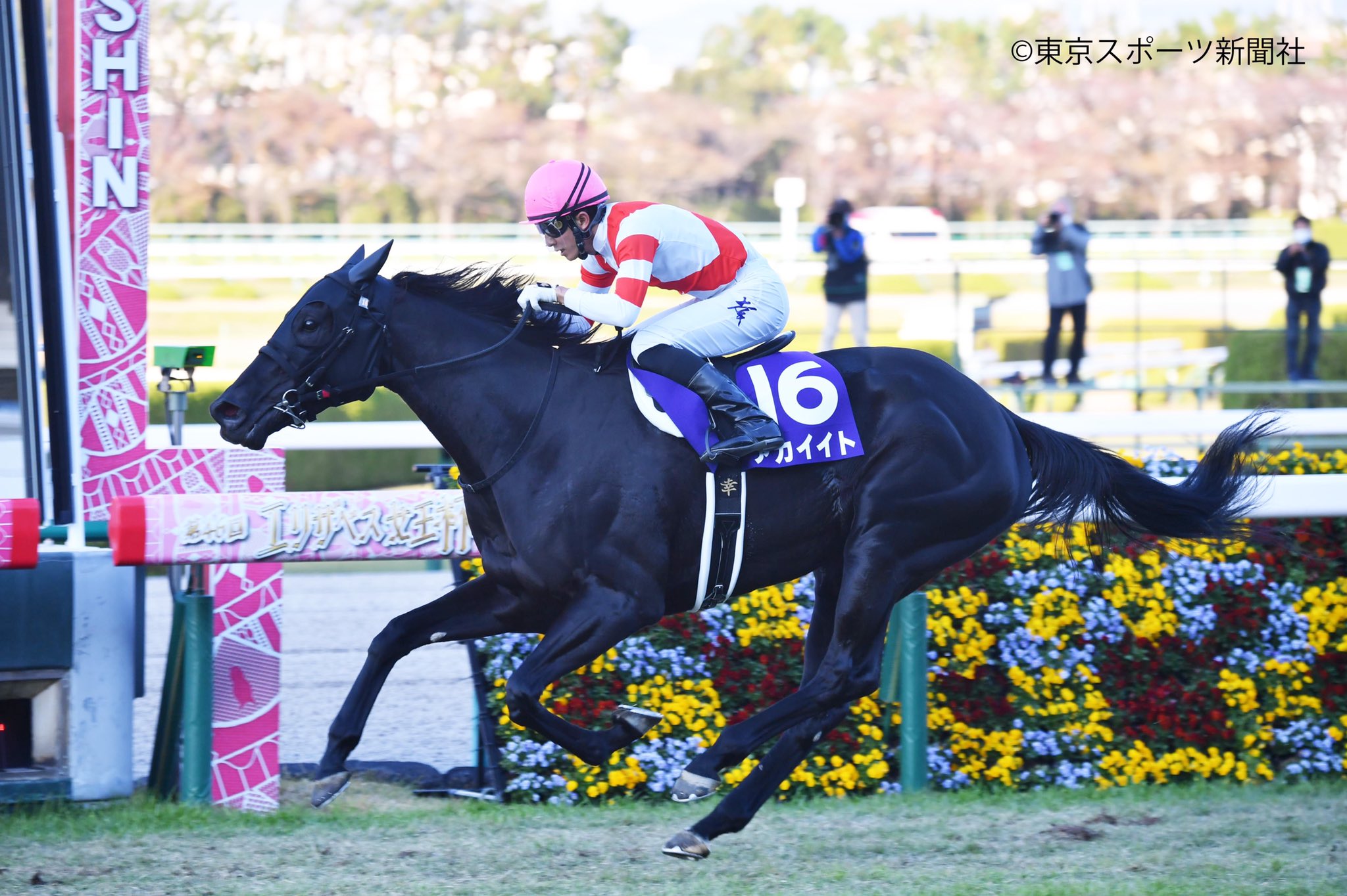 東スポ競馬 幸さんとこの勝負服 運命を感じる アカイイト ヨカヨカ エリザベス女王杯 東スポ競馬 競馬 T Co Igjenthja5 Twitter