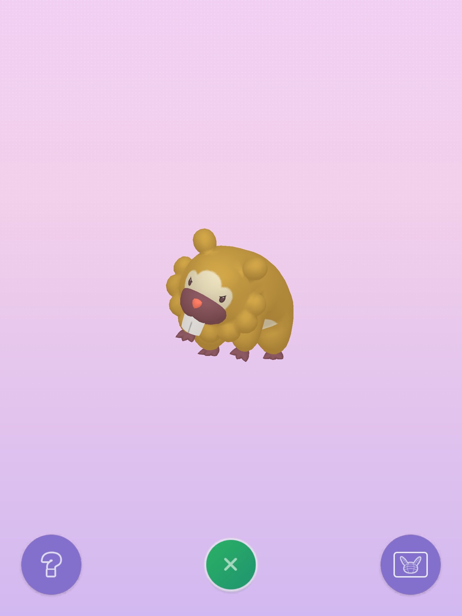 ポケモンハンターz 色キョダイイーブイ ポケモンbdsp まであと5日なので ポケモンハンターz のポケモン 講座カウントダウン今日はビッパの紹介じゃ ビッパは序盤で出会える前歯が特徴のポケモンじゃ 進化すると秘伝要員となりどんなきつい道でも助け