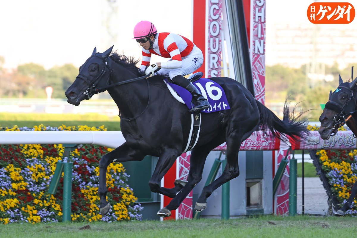 幸騎手との初コンビでV。 第46回エリザベス女王杯で大金星を挙げ