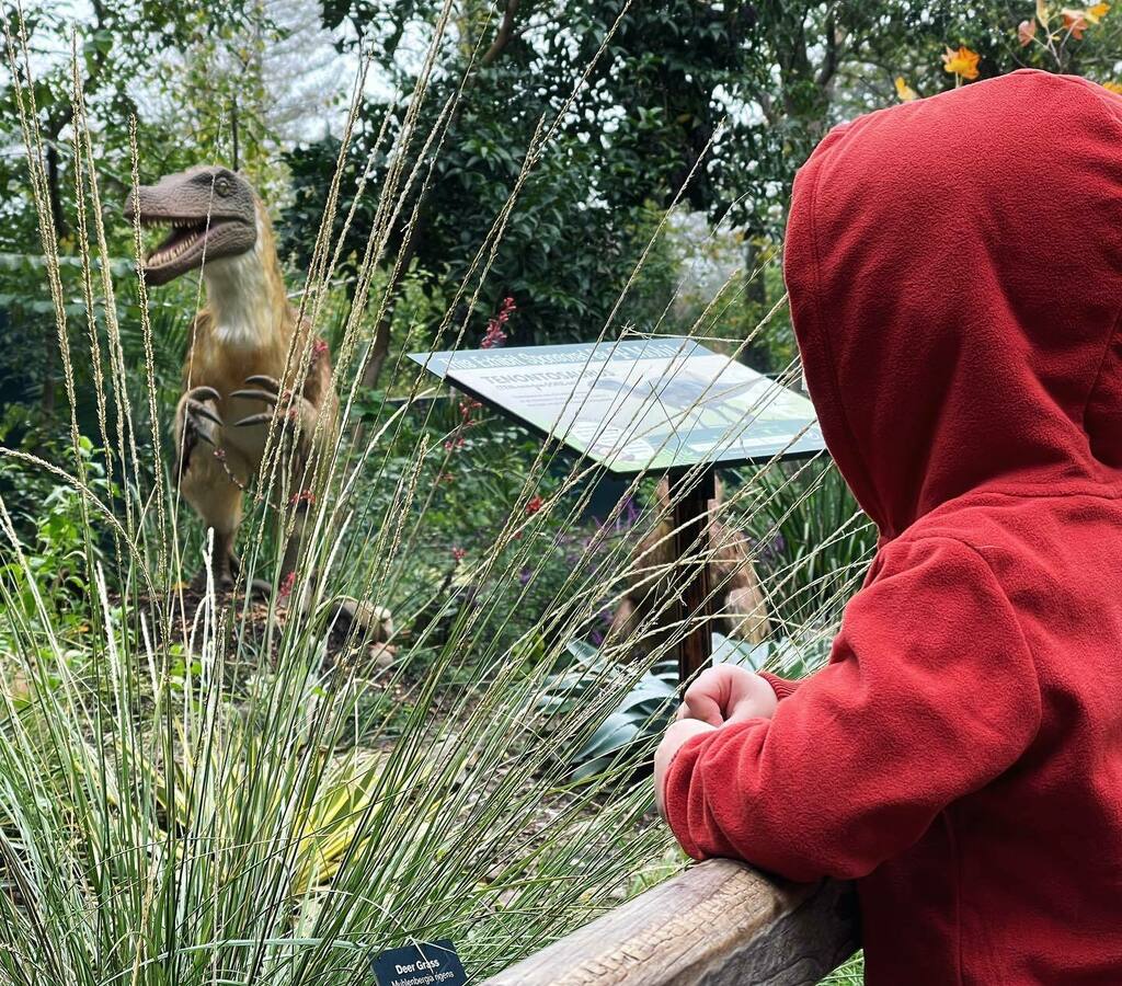 Jon Adams tweet media