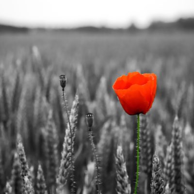 SammyMac79's tweet photo. #LestWeForget https://t.co/n7nNYXKSp0