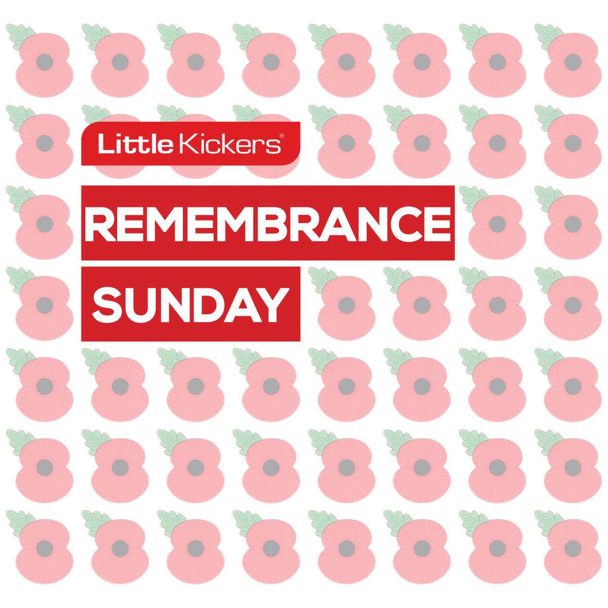 In our classes this morning at 11am, our coaches will be encouraging our players and grown ups to fall silent for Remembrance Sunday

#LestWeForget