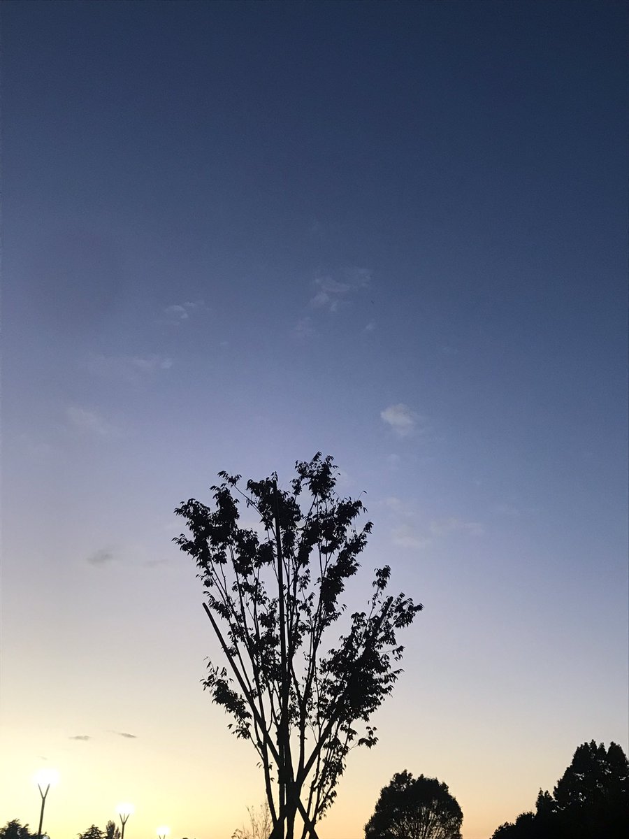 PhotoNaru's tweet photo. iPhoneしか持ってなくて残念だけど、夕方のグラデーション

#写真好きな人と繋がりたい  #photo #photography  #snap #SnapShot #AutumnFalls 
SUZURI→ https://t.co/7VtNnuVIEI
minne→https://t.co/phFBnj9xLT https://t.co/42jE4q0bbb