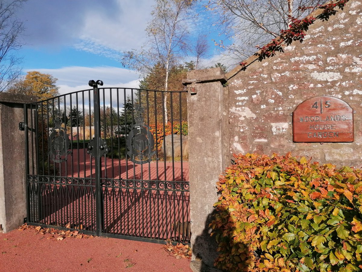45CdoGp's tweet photo. On the 10th anniversary of RM Condor's Woodlands Garden, we bow our heads in remembrance. Lest we forget. #RemembranceDay2021 @PoppyLegion https://t.co/iQtjFhb4fK