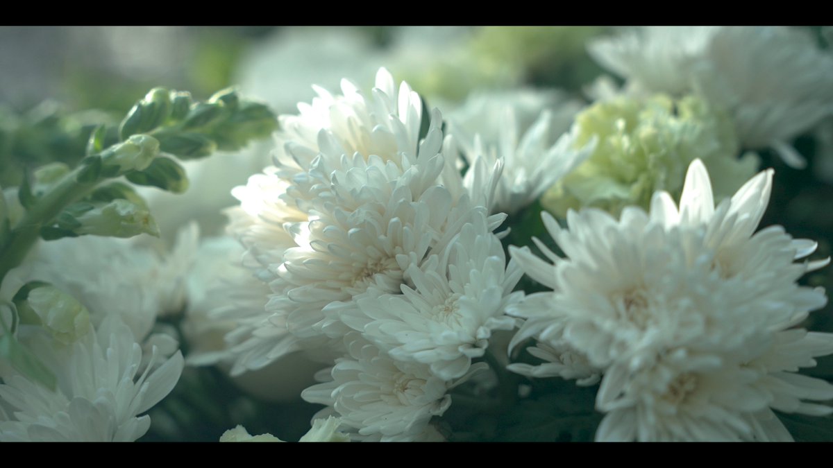 Editing Ethan's Unus Annus anniversary video was such a pleasure 🖤🤍!
HAPPY BIRTHDAY!!
#UnusAnnus #mementomori