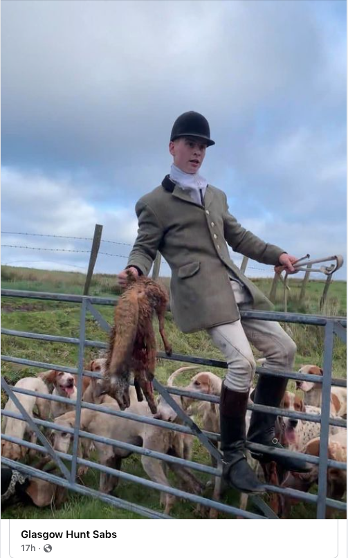 RichardBowler1's tweet photo. Helen dislikes me using the C word. I know of no other word that describes this piece of sh!t so well though. Imagine living a life filled with such hatred and self loathing that you do this to such a wonderful animal. https://t.co/Dau1JUVMTD
