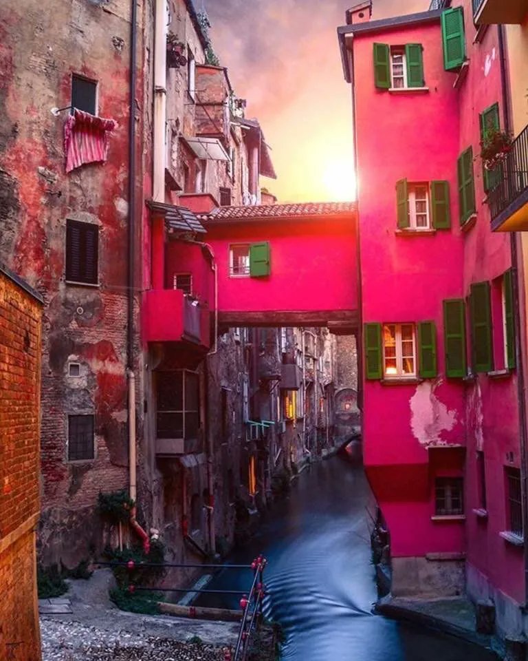 #Writing is hypnotizing yourself into believing in yourself, getting some work done, then unhypnotizing yourself and going over the material.
Lamott