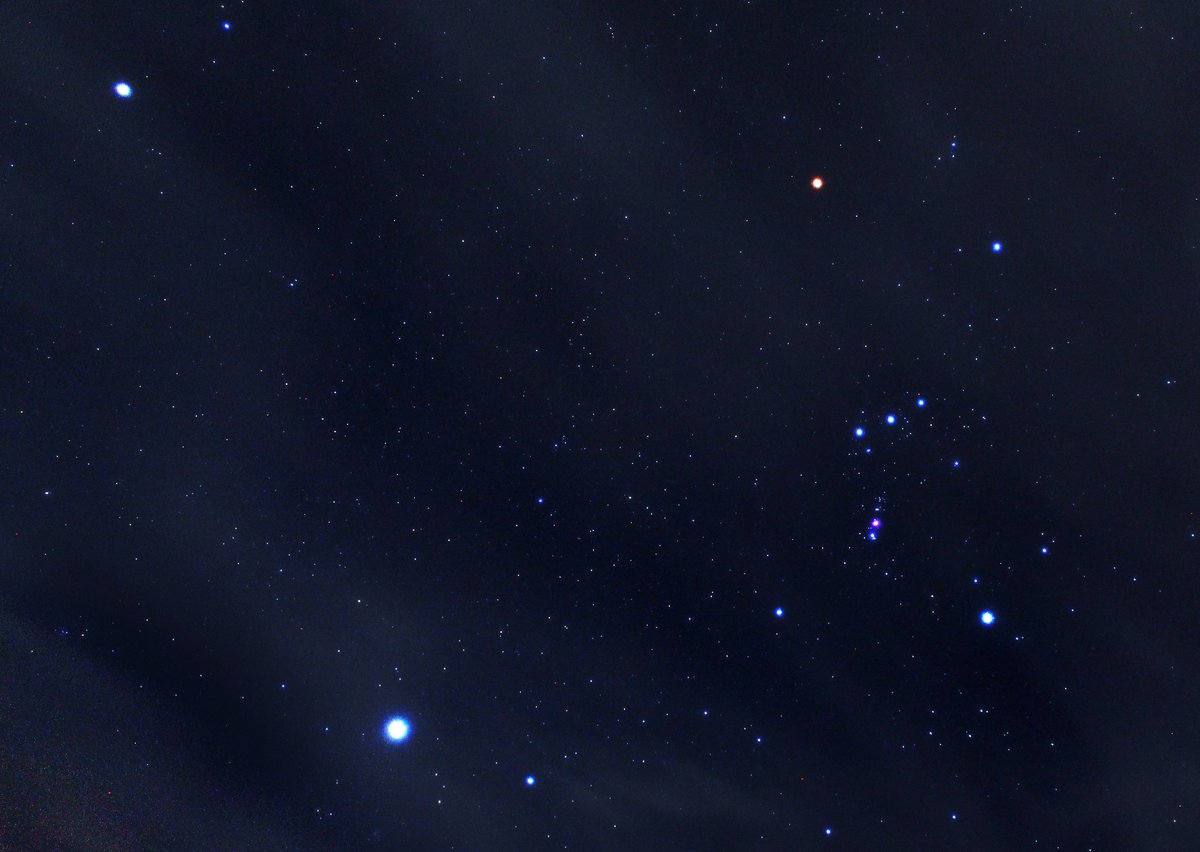 鍋公かお/Live2D依頼受付中 tweet media