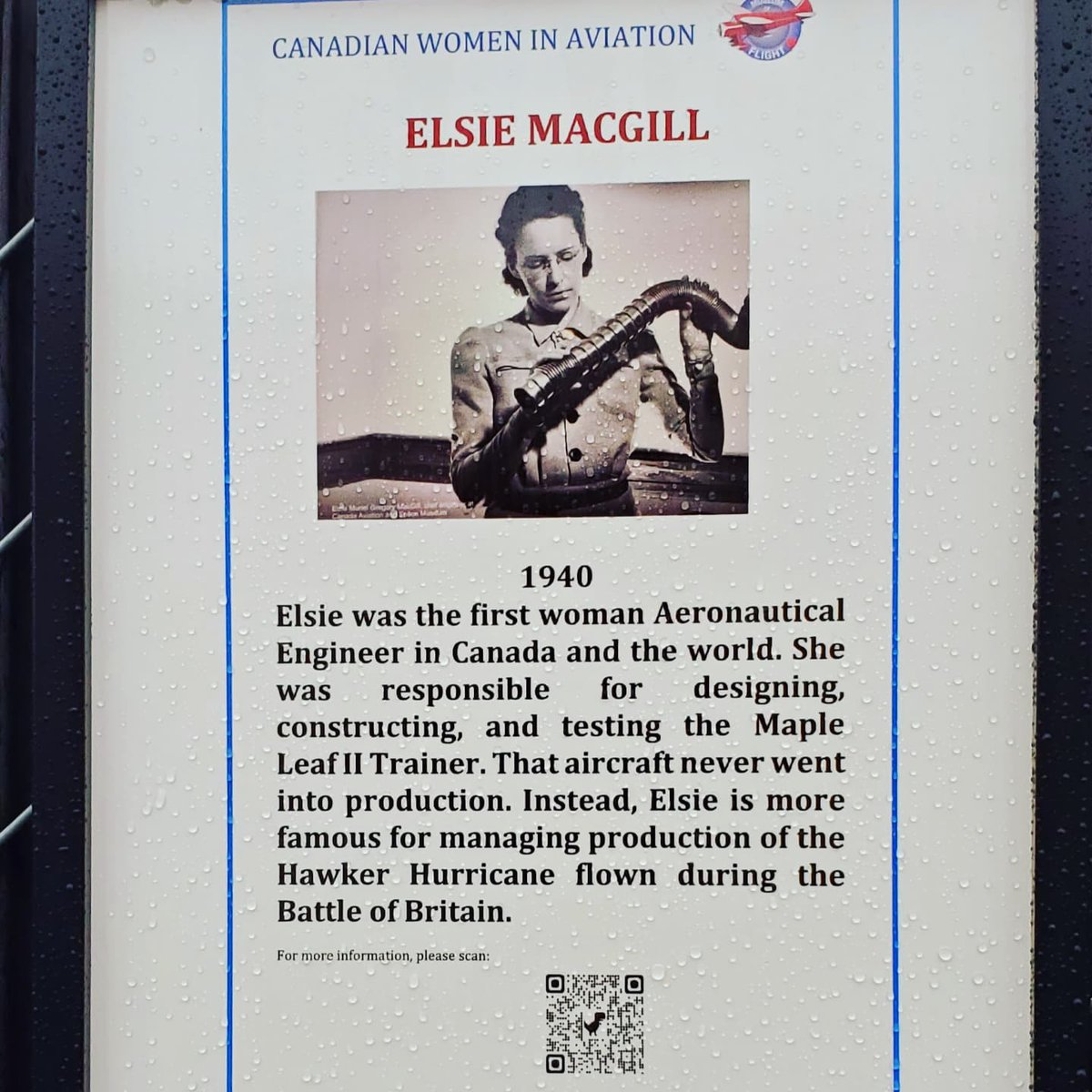 Ursula Maxwell Travels tweet media